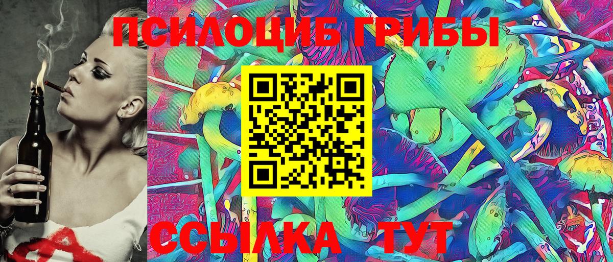 Галлюциногенные грибы Psilocybine cubensis Псков
