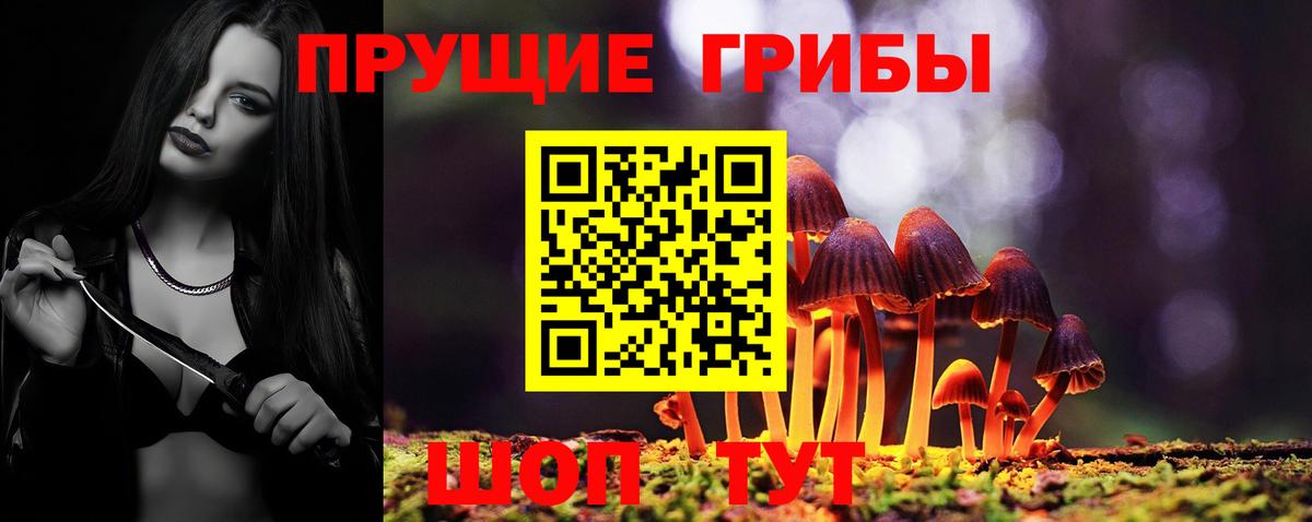 Галлюциногенные грибы Psilocybe  даркнет сайт  Галлюциногенные грибы Cubensis  Псков  Вход с VPN 